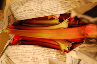e0025817_0143136.jpg