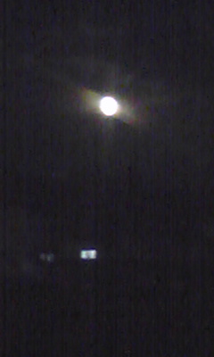 c0204518_9285185.jpg