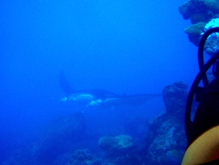 いろいろな海_a0043520_23382490.jpg