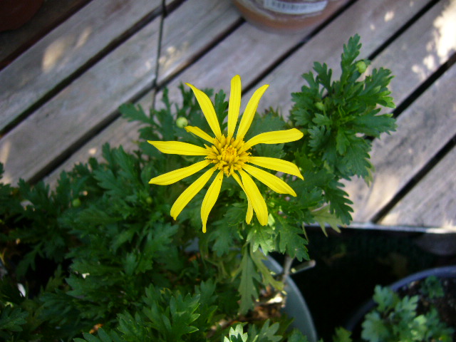 d0000324_1423878.jpg