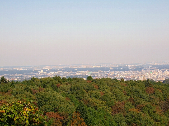 b0137932_21455664.jpg