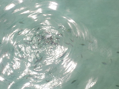 f0001835_17224747.jpg