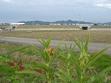 f0167635_8385281.jpg