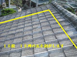 f0031037_22885.jpg