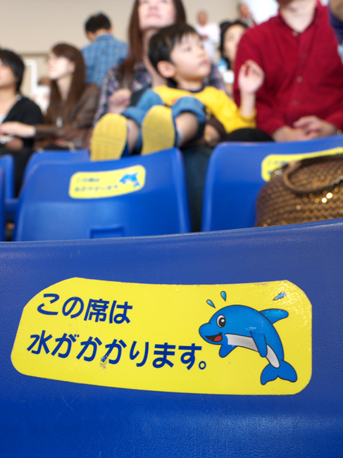 大洗水族館イルカショー_e0146738_22562013.jpg