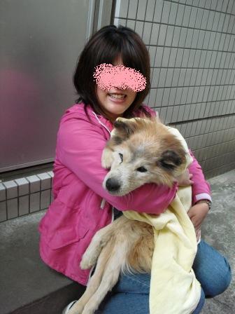 飼い主さん、保護主さん緊急募集(11月11日殺処分予定)その1_a0126743_440182.jpg