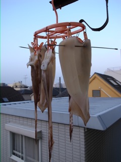 服を乾かしてるより，食べ物干してる方が多いんじゃないか？_d0057843_19124781.jpg