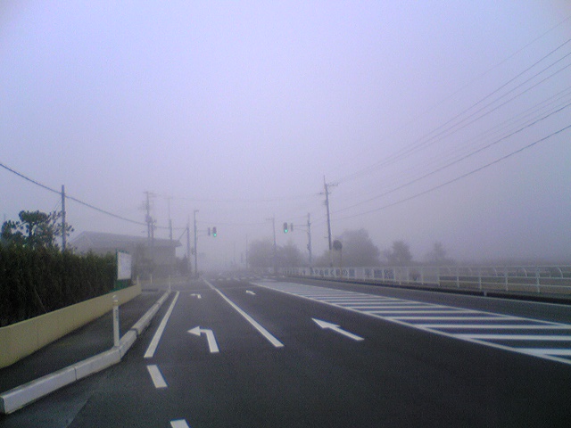 霧の中_f0081443_21331686.jpg