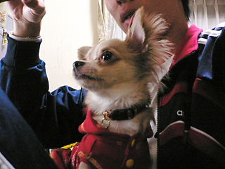 e0147751_21325171.jpg