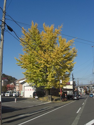 毘沙門様の山門_a0084753_14405417.jpg