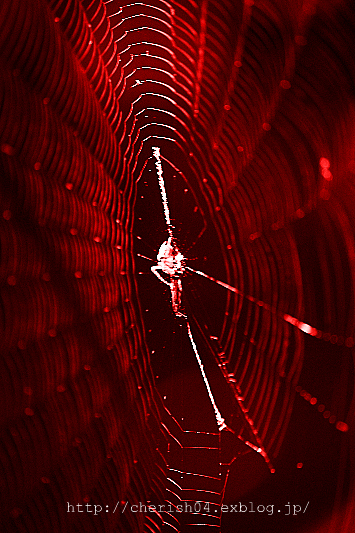 f0207754_2162088.jpg