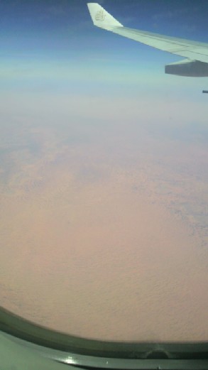 a0080156_1254108.jpg