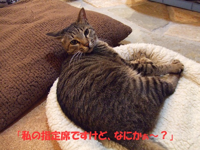 a0104162_64275.jpg