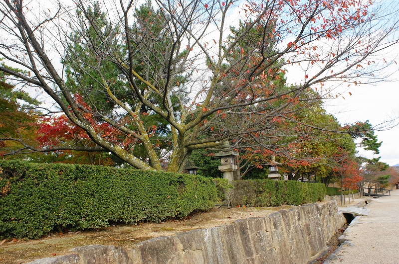 法隆寺_f0161964_22413589.jpg