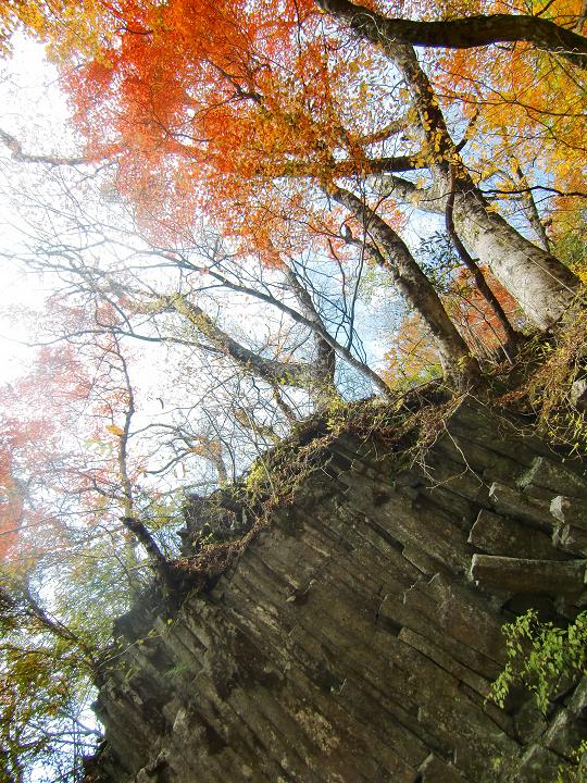 裏英彦山紅葉街道_f0016066_51450.jpg