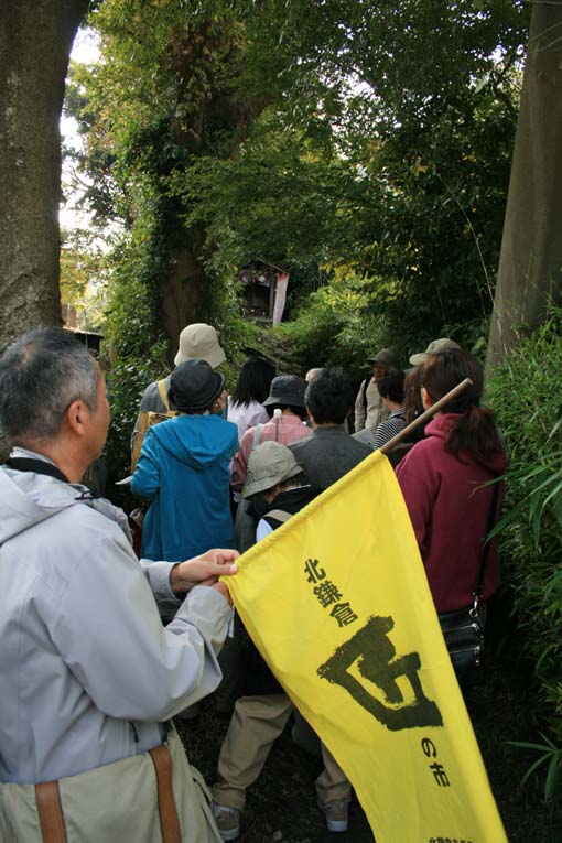 長寿寺の庭の美しさに感動！（北鎌倉ウォッチング10・31）_c0014967_1046412.jpg