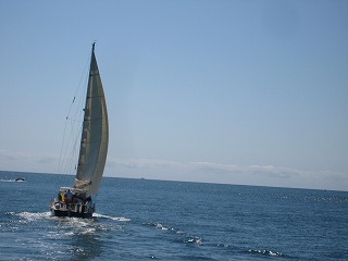 a0132369_15474957.jpg