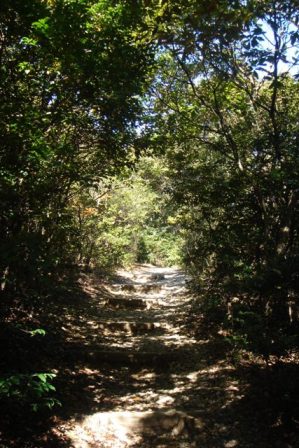 c0135480_2356394.jpg