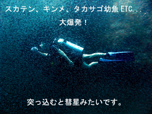 4泊5日シミラン・スリンクルーズ!三冠王に輝くのは・・・!?_f0144385_204366.jpg
