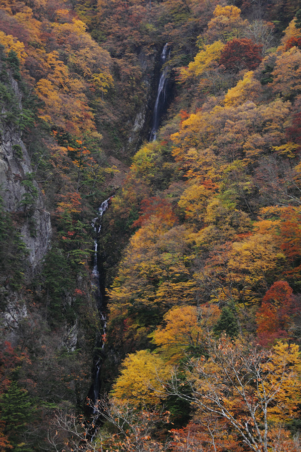 09.10.24：曇天の中、紅葉を求めて須坂から鬼無里へ_c0007190_1922688.jpg