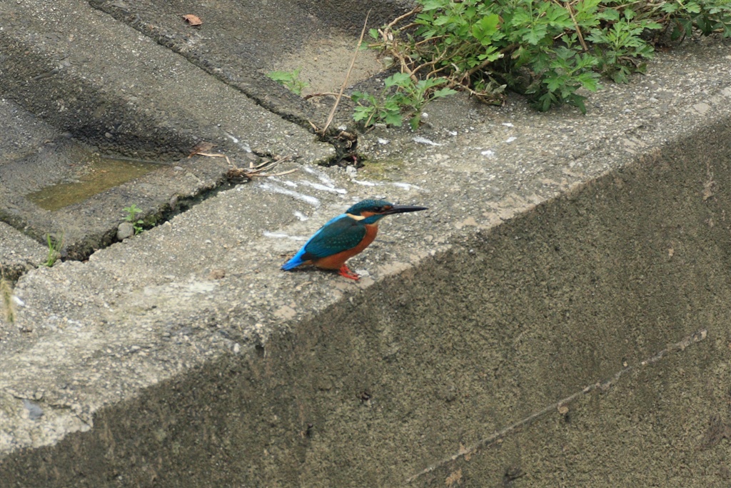 c0125993_2383195.jpg