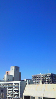 c0108695_1027491.jpg