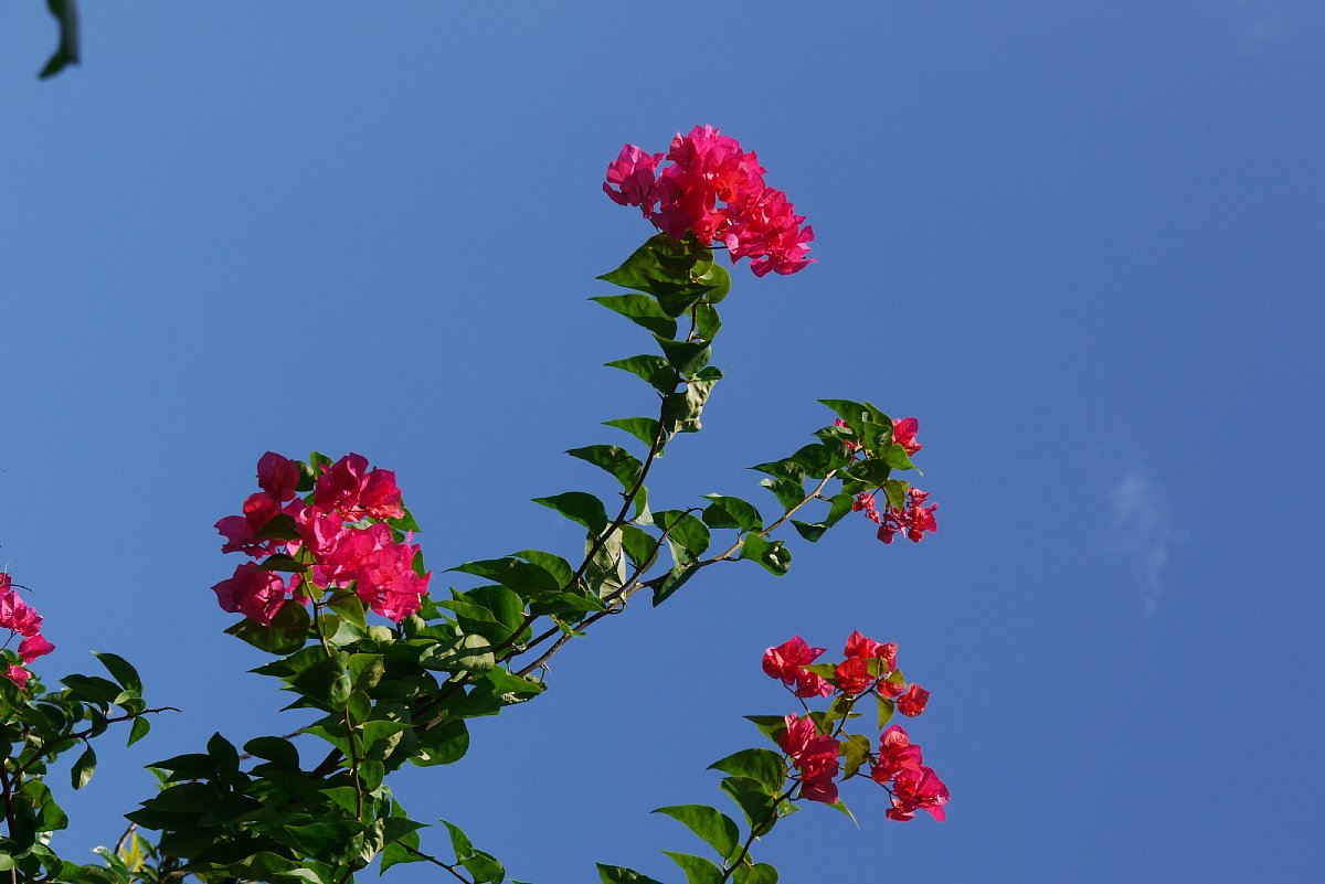 c0124795_0172984.jpg