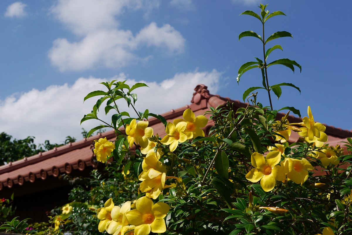 c0124795_017638.jpg