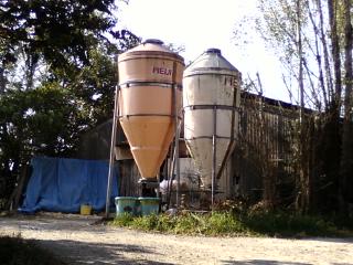 c0218402_155342.jpg