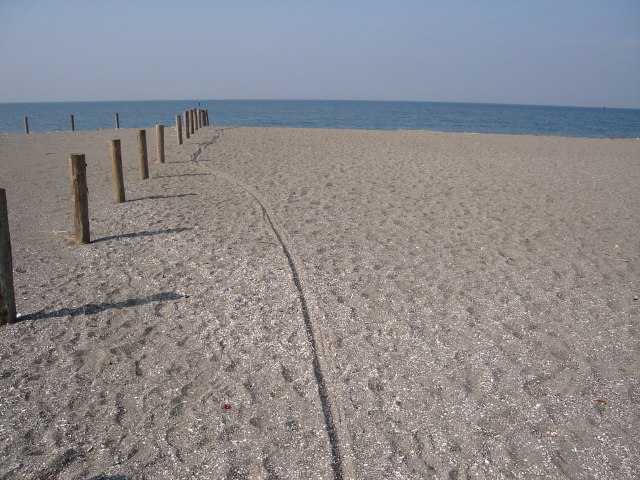 a0116205_2315453.jpg