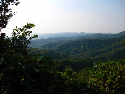 鎌倉ラン&ウォーク_a0036808_1351751.jpg