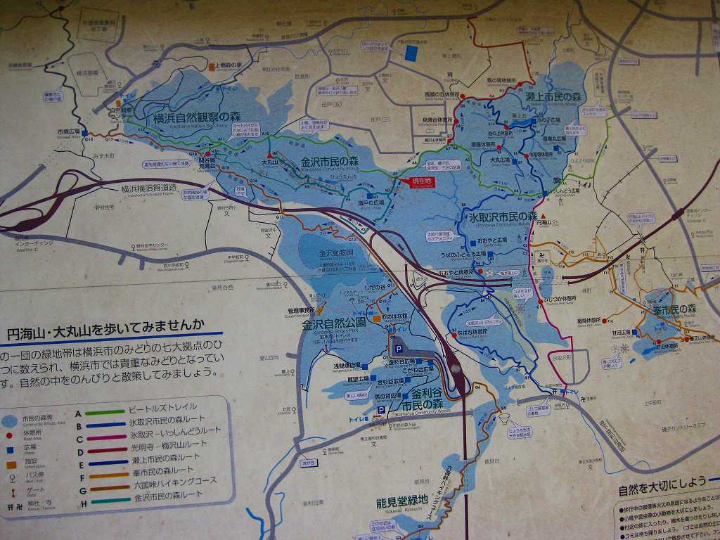 鎌倉ラン&ウォーク_a0036808_1485623.jpg