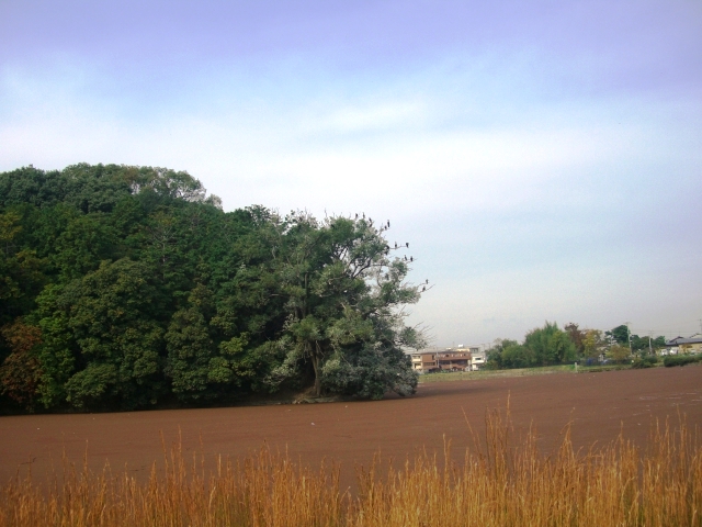 d0007913_14253411.jpg