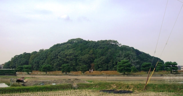 d0007913_1427156.jpg