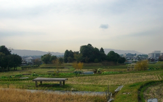 d0007913_1431254.jpg