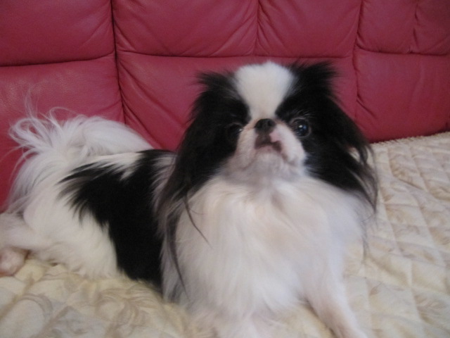 c0200916_2424087.jpg