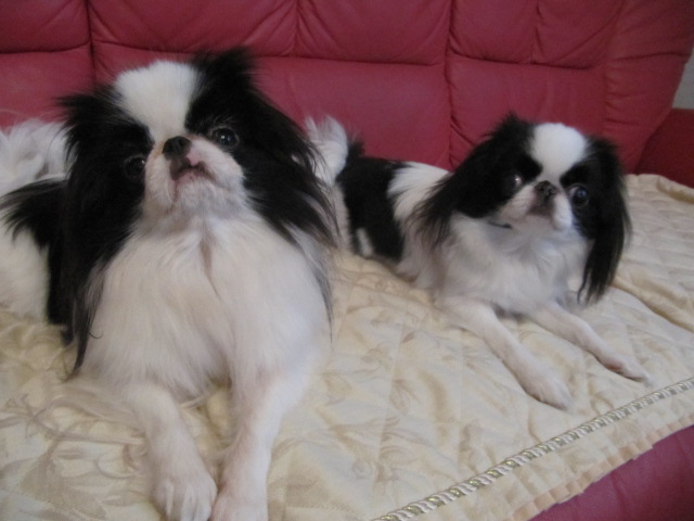 c0200916_2433730.jpg
