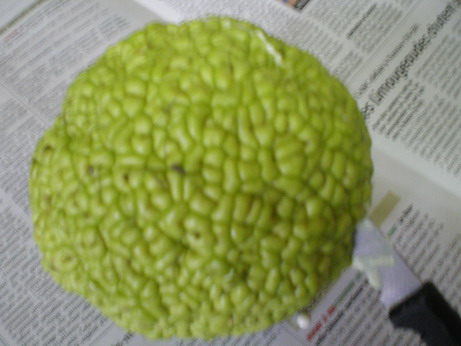c0124619_1213143.jpg