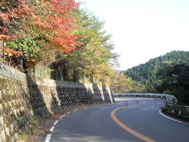 ありまひょうえのこうようようかっくへ〜♪自転車で六甲山から有馬温泉へ_c0225420_185770.jpg