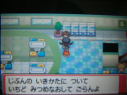 ポケットモンスターハートゴールドプレイ日記 ラジオとう つきねこの日記