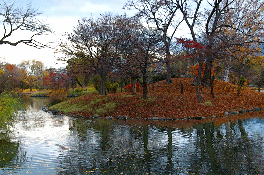 中島公園　晩秋_c0223825_2204880.gif