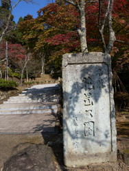 花筐公園もみじ祭り_e0061225_10124520.jpg