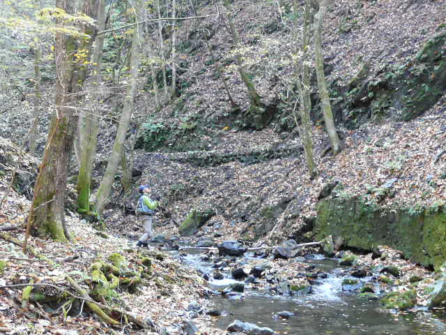 e0147226_2119174.jpg