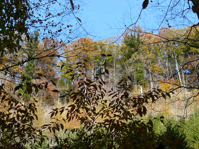 e0147226_21193214.jpg