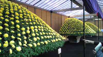 c0039428_23303096.jpg