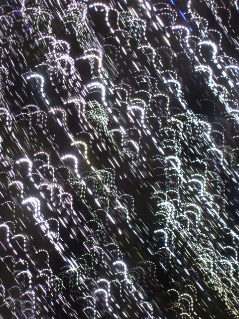 d0086329_22403466.jpg