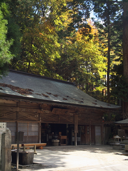 紅葉巡り2009～高野山・弐～_e0080133_2551636.jpg