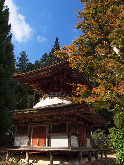 紅葉巡り2009～高野山・弐～_e0080133_255685.jpg