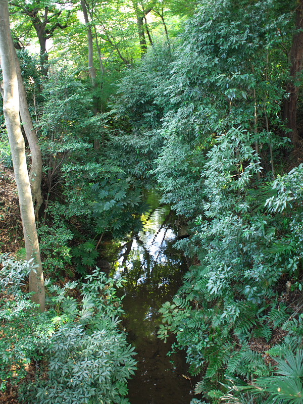 d0125535_15171413.jpg