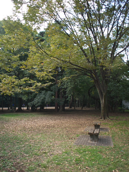 いつもの散歩道（1）_d0125535_1533858.jpg